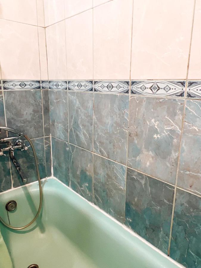 Apartment Near Metro Station Darnitsa キエフ エクステリア 写真